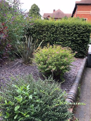 Photo 1- click for photo gallery